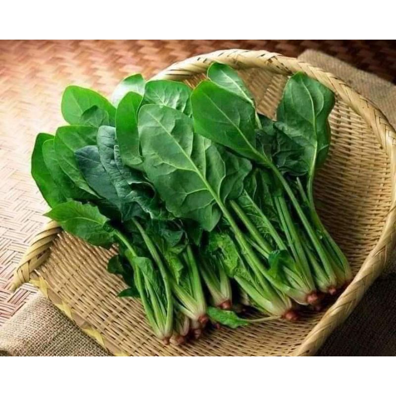 Hạt giống cải bó xôi Nhật Trang Nông 10gr, ưa khí hậu mát mẻ