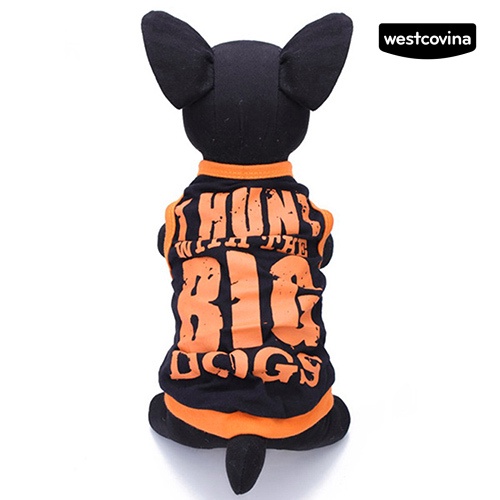 [Hot]♝Áo Thun Thể Thao MùA Hè Cho Thú Cưng