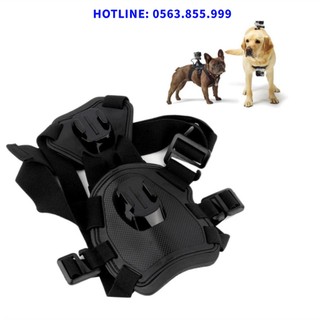 Bộ đai đeo điện thoại, gopro, camera hành trình dành cho thú cưng