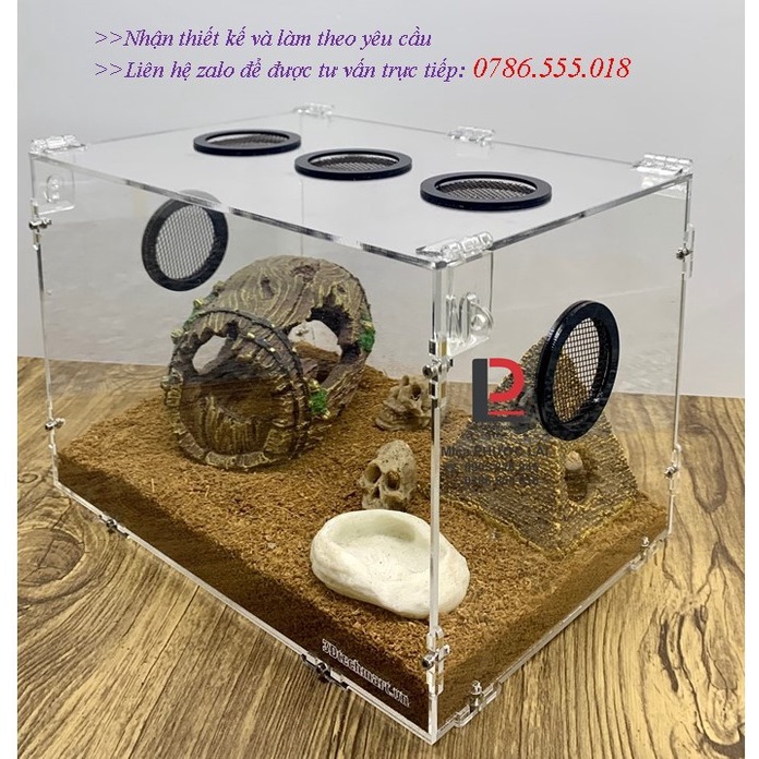 Hộp nuôi NHỆN/ BÒ CẠP/ RẾT... 30-20-20cm, mẫu lắp ghép