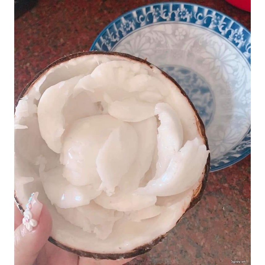 Dừa sáp cầu kè Trà Vinh Bao Ngon,Bao Sáp