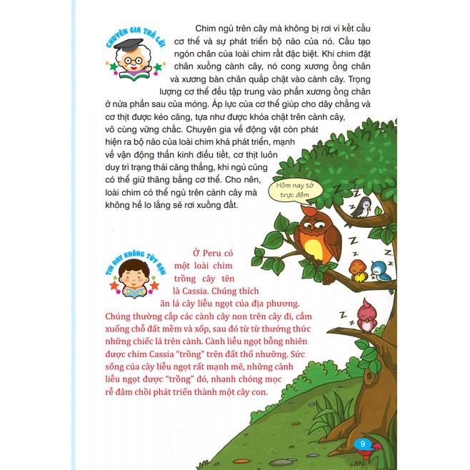 Sách - 10 vạn câu hỏi vì sao hỏi đáp khoa học - Những hiện tượng thần kì(bìa mềm)