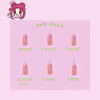 Nailbox thiết kế (  french đầu móng )