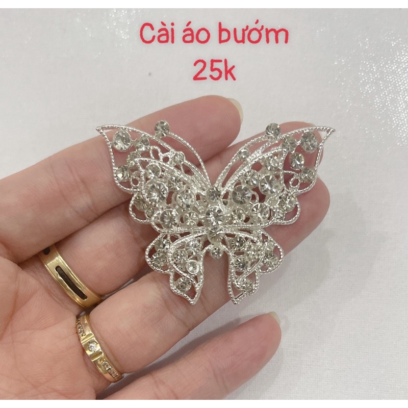 cài áo bướm