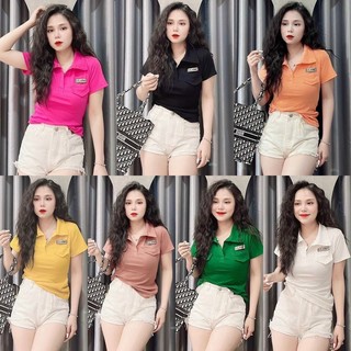 ÁO THUN POLO