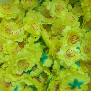  1kg HOA MAI   .HOA ĐÀO GIẢ . .xiêu lợi .xiêu tiết kiệm .hàng đẹp .dùng trang trí Tết 