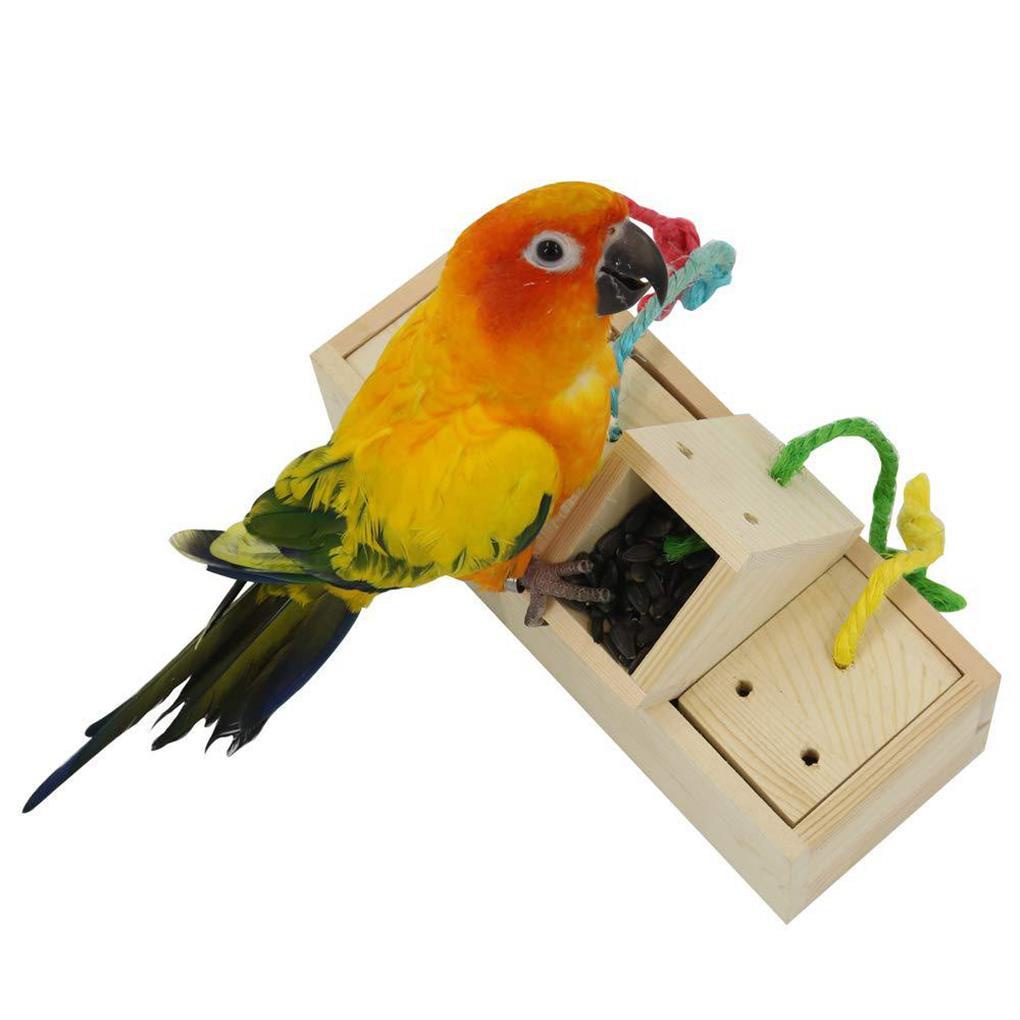 Dụng Cụ Đựng Thức Ăn Bằng Gỗ Dành Cho Chim Vẹt