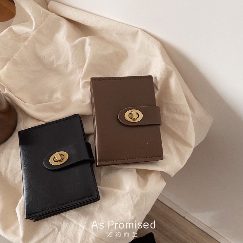 Ví nữ đựng thẻ ví card cầm tay Louis vintage 27C