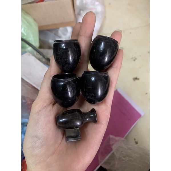 cóng sừng khuyên