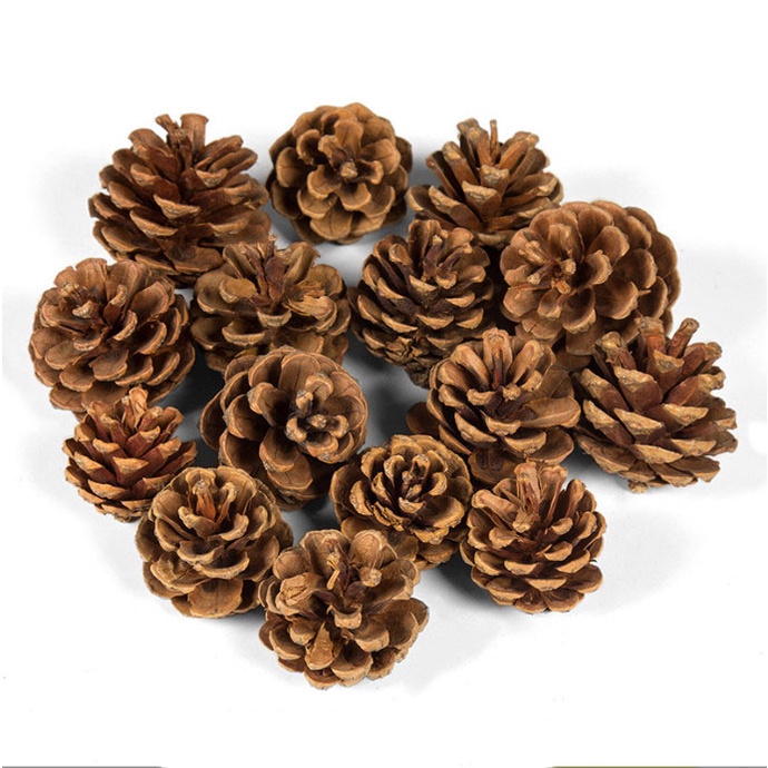 Mô hình quả thông trang trí giáng sinh decor mô hình Noel, trang trí cây thông