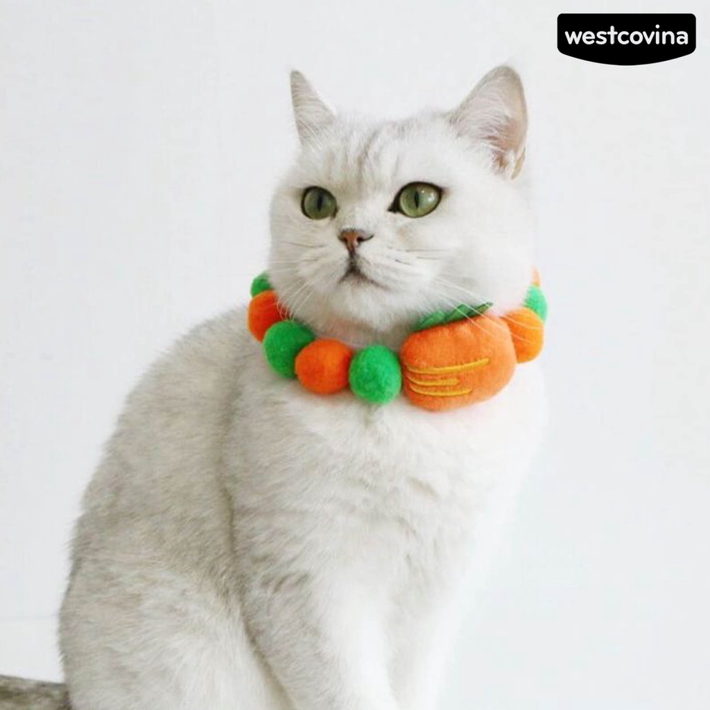 [Hot]♝Vòng Cổ HìNh TráI Cây Cho Thú Cưng