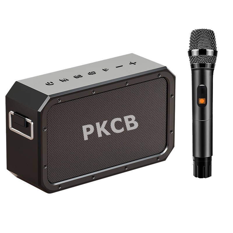 Bộ Loa Bluetooth không dây nghe nhạc, micro bluetooth không dây hát Karaoke cao cấp