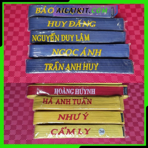 Vovinam Karate Taekwondo Ailaikit