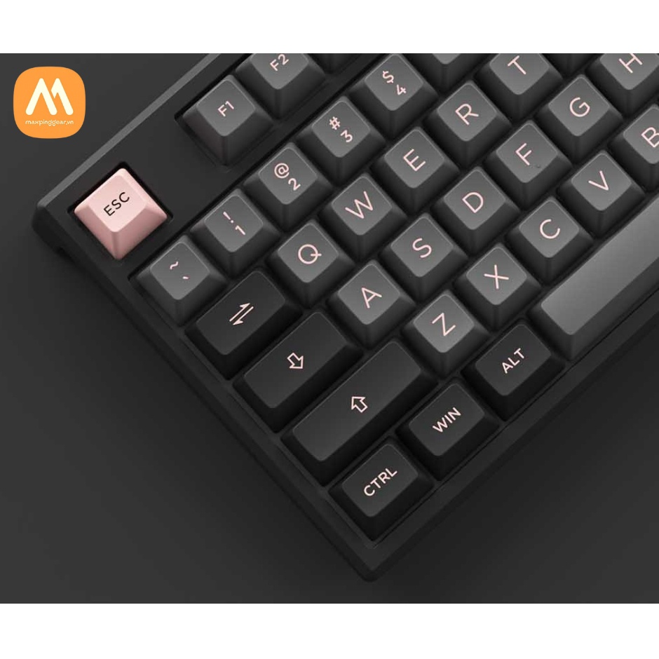 Bàn phím cơ AKKO MonsGeek MG108 Black&Pink