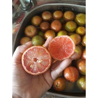 Chanh đào nhà trồng/1kg