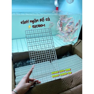 Vỉ nhựa ngăn bể cá | tấm ngăn vách | tấm ngăn bể cá cảnh | hít kính giữ vách ngăn hồ cá