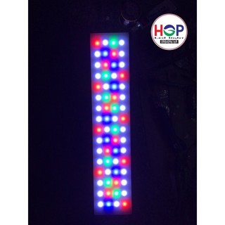 Đèn WRGB thuỷ sinh/ led Luxeon Epistar
