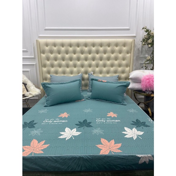 Bộ ga gối 2mx2m2 trần bông cho đệm 15p-25p