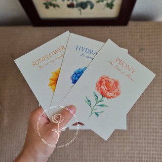 Thiệp Hoa Màu Nước (Watercolor Flower) - Bộ 6 màu
