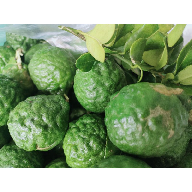 0,5kg trái chúc. Hàng tươi mới bẻ trên cây xuông khi khách đặt