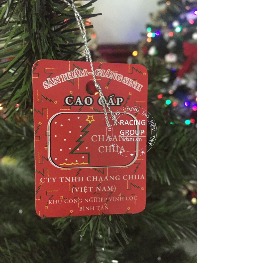 Cây Thông Cước Lăn Sơn Gắn Trái Cherry Đỏ Cao Cấp Chính Hãng Chaang Chiia Trang Trí Noel Giáng Sinh Cực Đẹp