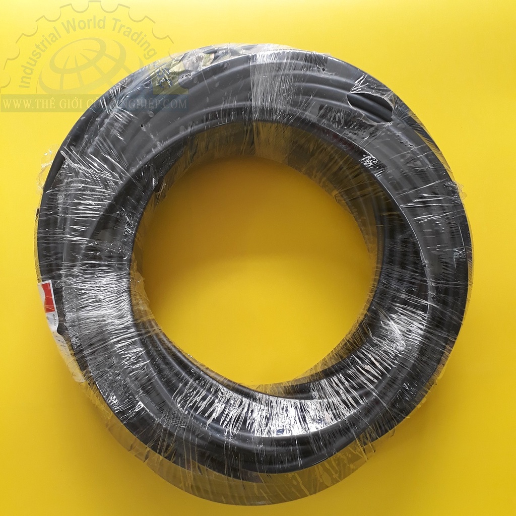 Cáp điện lực hạ thế 300/500v 2-4 lõi x6 Cadivi