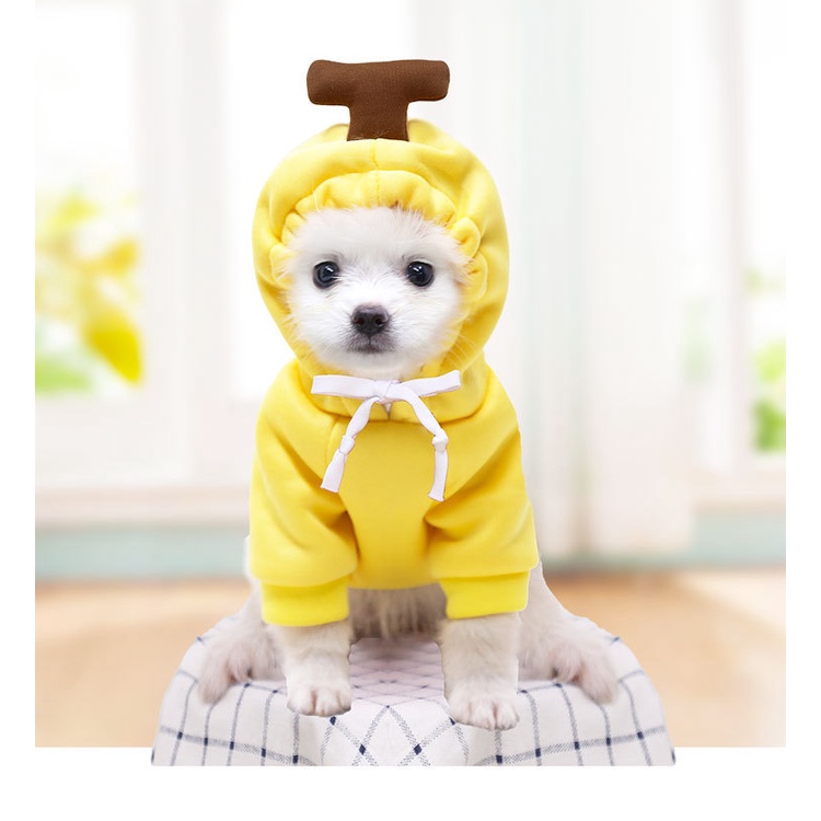 Áo Nỉ Có Mũ Trùm Hình Củ Cải Màu Trắng Phong Cách Giáng Sinh Mới Dành Cho Chó Mèo