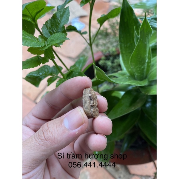 Charm Hư Không Tạng Bồ Tát trầm hương tốc