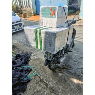 nồi chiên không dầu 8L