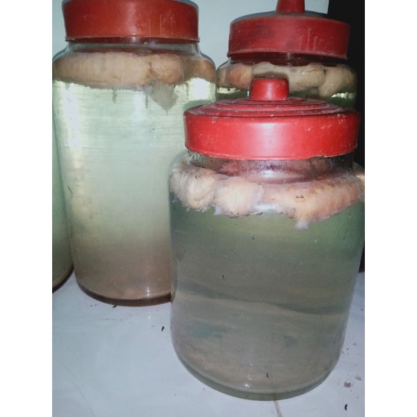 Giấm nuôi lên men tự nhiên 500ml/5k