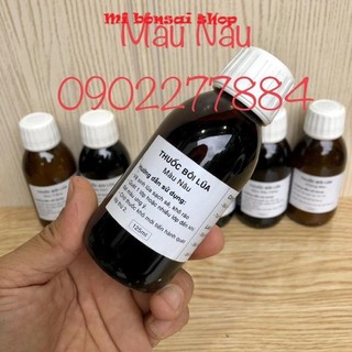 Sơn Gỗ Lũa, Thuốc Lũa Bonsai Cây Cảnh 6 Màu thông dụng