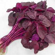 Hạt giống rau dền đỏ 10 gram