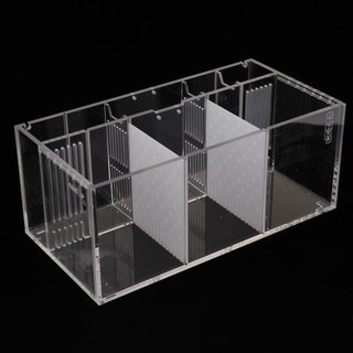 [Xastpz1] Hộp đựng bể cá Acrylic cho