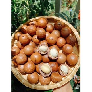 Hạt Macca DakLak Hũ 500g