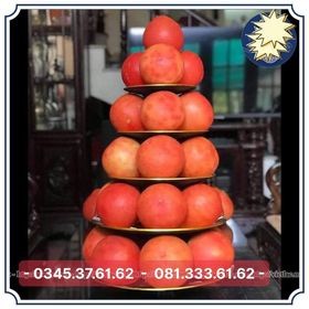 Tháp ngũ phúc, tháp 5 tầng, tháp bầy hoa quả, đĩa bầy hoa quả, trang trí bàn thờ, bầy điện