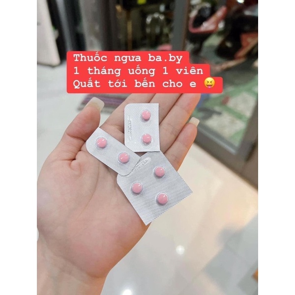 Viên uống chừa thai Chính hãng - Tháng 1 viên