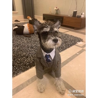 VEST dành cho thú cưng (vest, gile dành cho chó mèo)