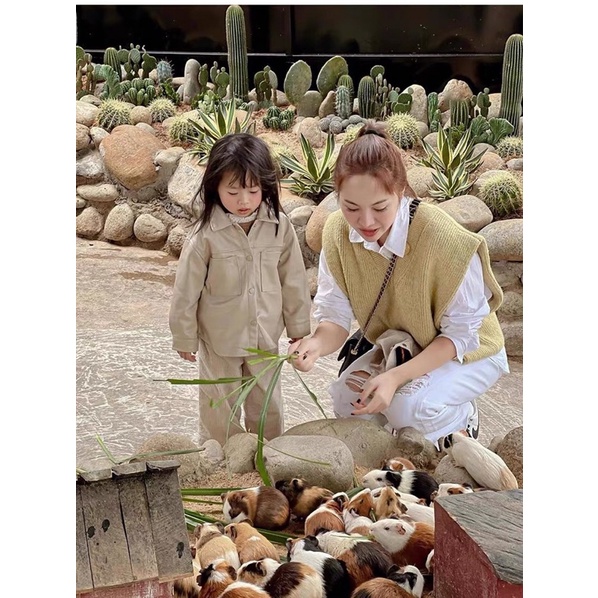 Áo gile len vàng Zara xuất