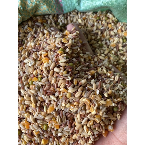 NGŨ CỐC DINH DƯỠNG DÀNH CHO GÀ, CHIM, CU, GÁY