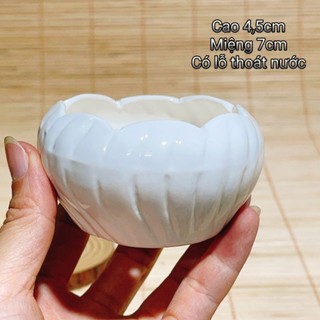 Chậu bí gốm sứ mini cao 4,5 cm