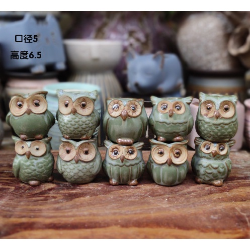 Chậu cây con cú xanh lục mini CHAUX2 trồng hoa sen đá cây cảnh cute trang trí decor ống bút cắm đồ 6,5cm