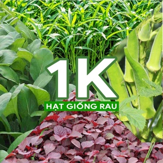 [GÓI NHỎ] Hạt giống 1K Rau Muống, Rau Dền, Đậu Bắp, Cải Ngọt, Mồng Tơi, Cải Thìa, Ngò Gai - h2t farm