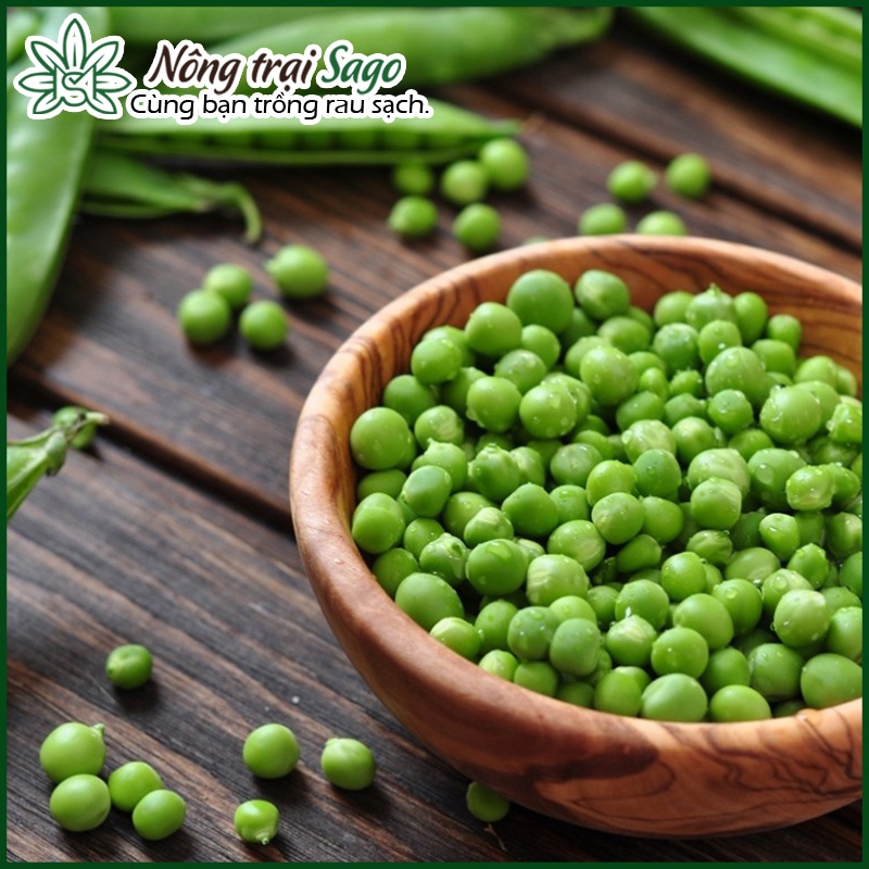 Hạt giống Đậu Hà Lan Lấy Hạt Trồng Quang Năm, Trái Sai (gói 5 gr) - Nông Trại Sago