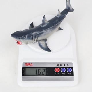 Megalodon Đồ trang trí Cá Mập Trắng Đồ Chơi Cho Bé