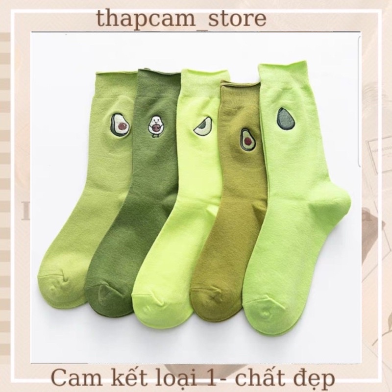 BỘ TẤT BƠ MỘT QUẢ
