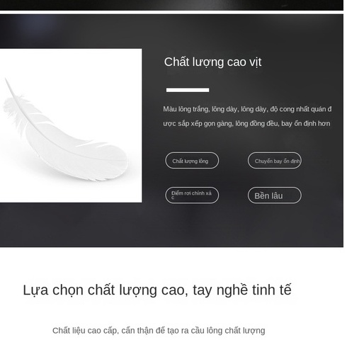 Cầu Lông Thành Công Ba Sao  Cái Tiêu Chuẩn Thi Đấu đào Tạo Bóng để Chơi ổn định Bóng Lông Vịt TTR042
