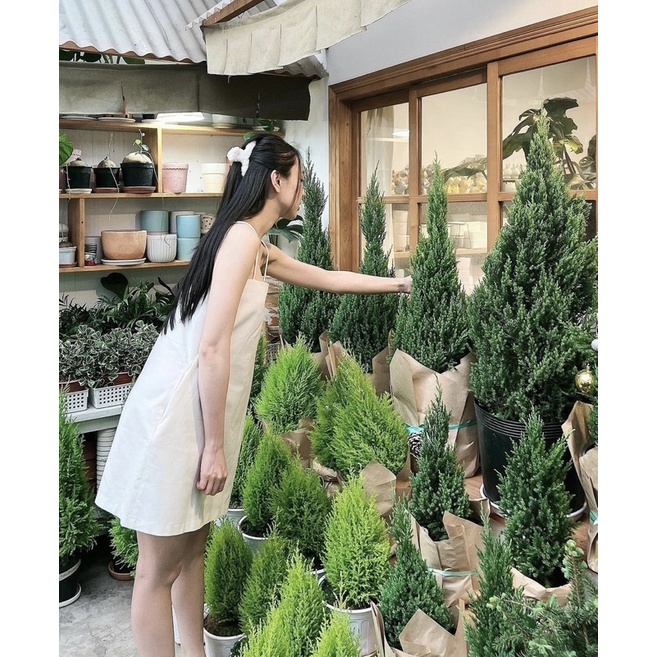 ĐẦM THYTHY DÁNG NGẮN