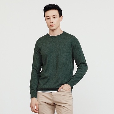 Áo Len Nam Faviti Cổ Tròn Dài Tay Chất Lông Cừu Đẹp Mềm Mịn Cao Cấp Dày Dặn Cực Ấm Hàn Quốc Form Rộng  AL76