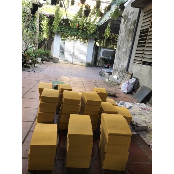 CHÂN TẦNG ONG NỘI