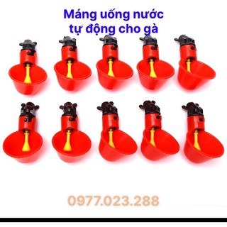 Máng uống nước tự động cho gà ngan vịt - Cốc uống nước tự động cho gà chim ngan ngỗng